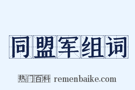 同盟军组词是什么意思的图片